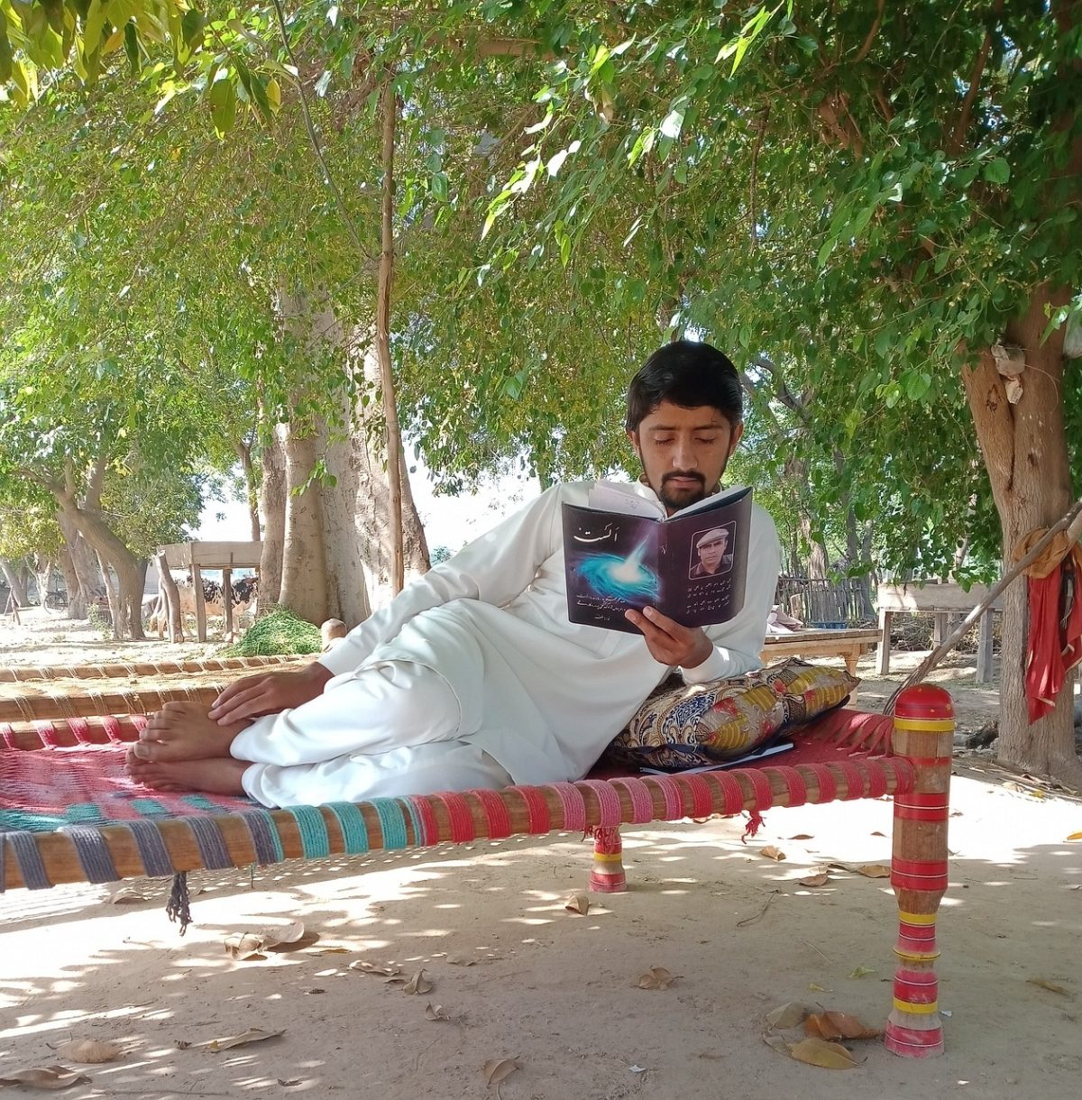 man on bench reading a book